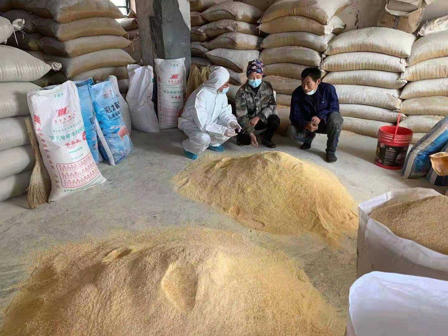 奮進紅興隆 | 唱響雁鄉新牧歌——聚焦畜牧業轉型升級的“八五三探索”與畜牧漁業飼料銷售